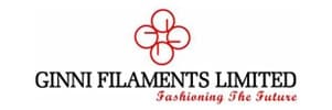 Ginni Filaments Ltd. Ginni Filaments Ltd.